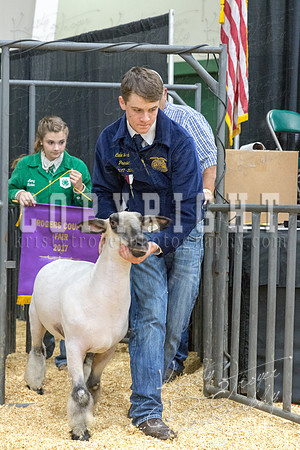 2017_rogers_county_fair-9695