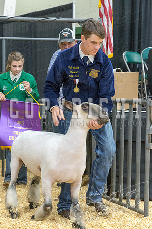 2017_rogers_county_fair-9696