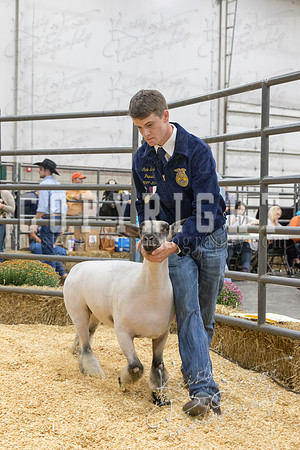 2017_rogers_county_fair-9697