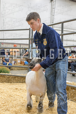 2017_rogers_county_fair-9698