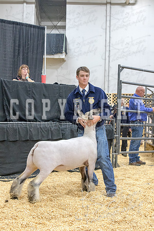 2017_rogers_county_fair-9699