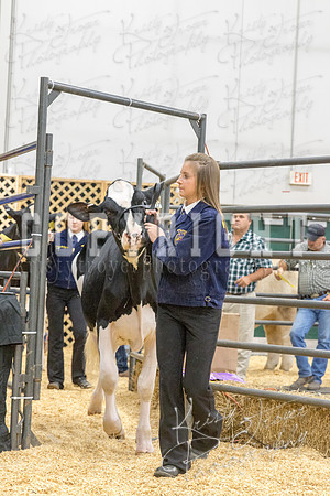 2017_rogers_county_fair-9700