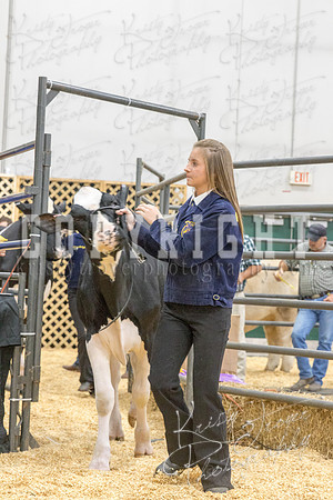 2017_rogers_county_fair-9701