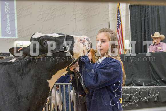 2017_rogers_county_fair-9703
