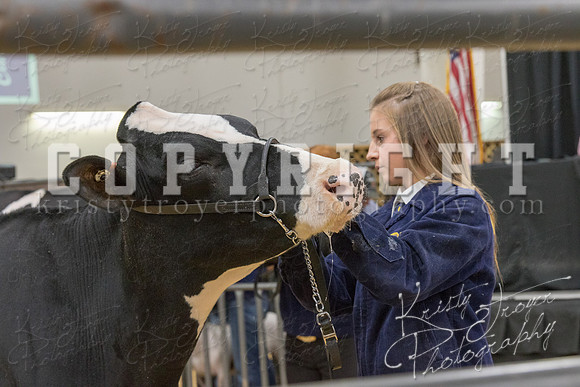2017_rogers_county_fair-9704