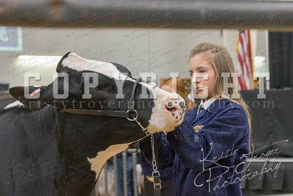 2017_rogers_county_fair-9705
