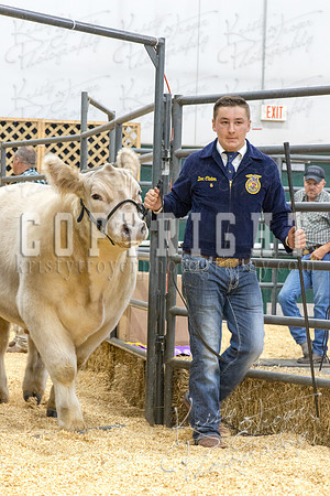 2017_rogers_county_fair-9706