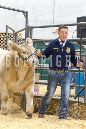 2017_rogers_county_fair-9707