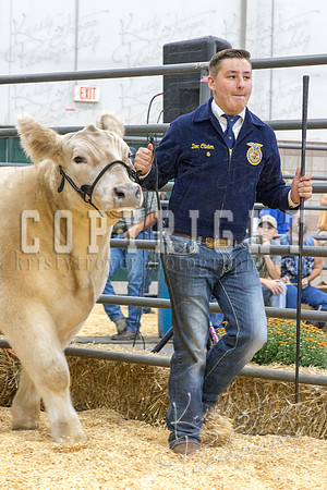 2017_rogers_county_fair-9708