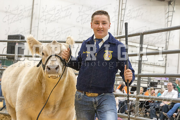 2017_rogers_county_fair-9709
