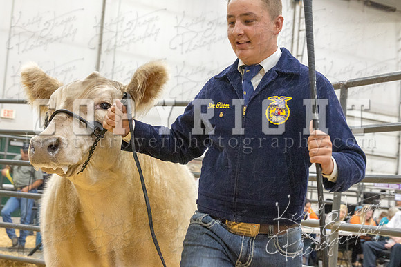2017_rogers_county_fair-9710