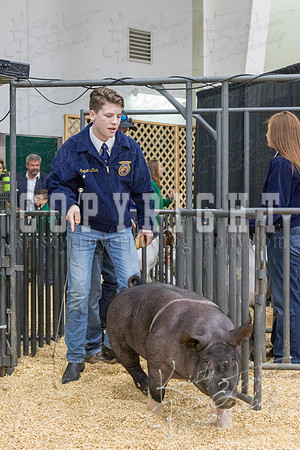 2017_rogers_county_fair-9711