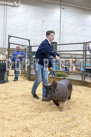 2017_rogers_county_fair-9713