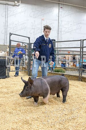 2017_rogers_county_fair-9714