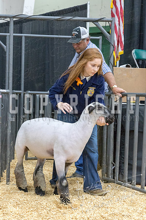2017_rogers_county_fair-9715