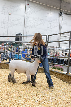 2017_rogers_county_fair-9716