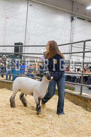 2017_rogers_county_fair-9717