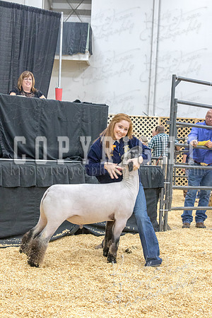 2017_rogers_county_fair-9718