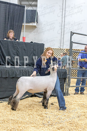2017_rogers_county_fair-9719