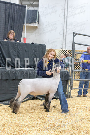 2017_rogers_county_fair-9720