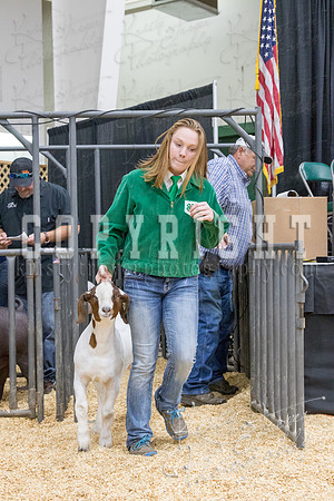 2017_rogers_county_fair-9721