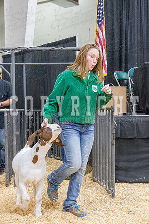 2017_rogers_county_fair-9722
