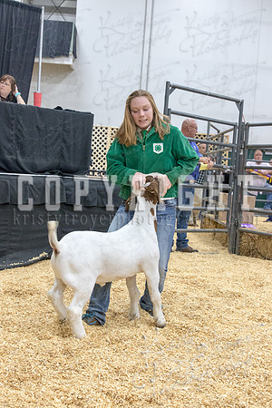 2017_rogers_county_fair-9723