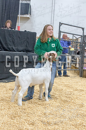 2017_rogers_county_fair-9724
