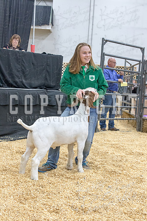 2017_rogers_county_fair-9725
