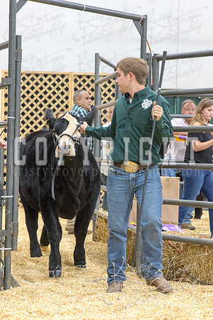 2017_rogers_county_fair-9726