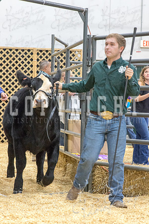 2017_rogers_county_fair-9727