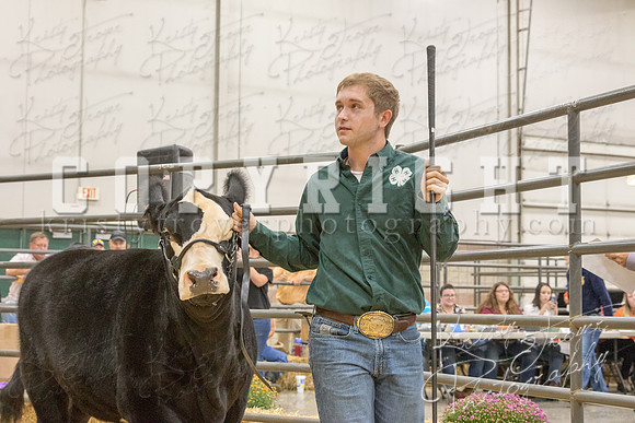 2017_rogers_county_fair-9728