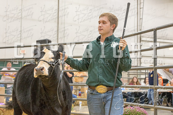 2017_rogers_county_fair-9729