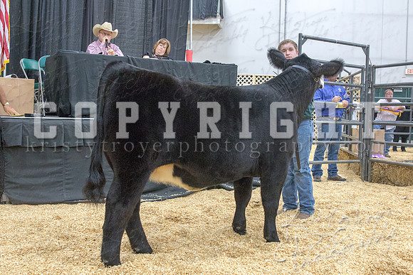 2017_rogers_county_fair-9730