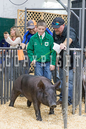 2017_rogers_county_fair-9731