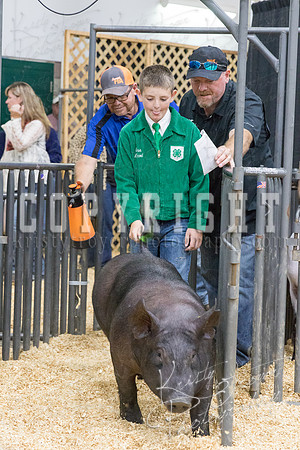 2017_rogers_county_fair-9732