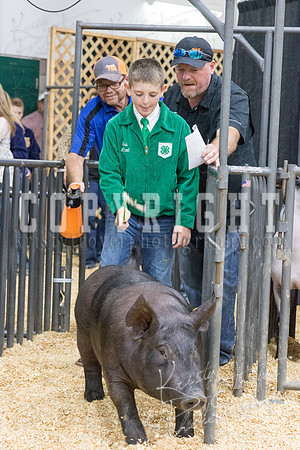 2017_rogers_county_fair-9733
