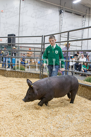 2017_rogers_county_fair-9734