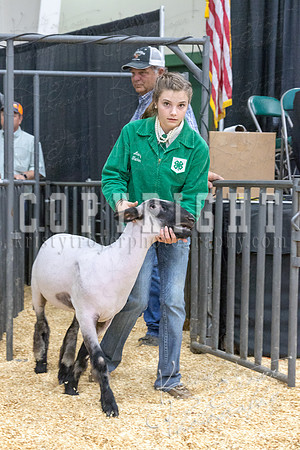 2017_rogers_county_fair-9736