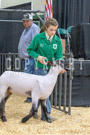2017_rogers_county_fair-9737