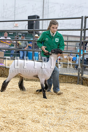 2017_rogers_county_fair-9738
