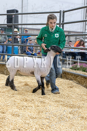 2017_rogers_county_fair-9739