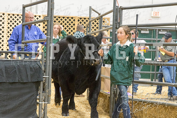 2017_rogers_county_fair-9740