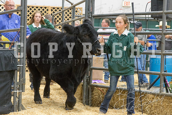 2017_rogers_county_fair-9741