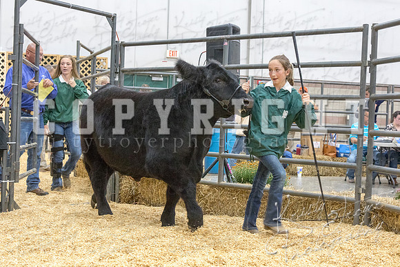 2017_rogers_county_fair-9742