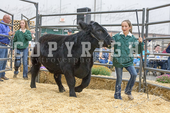 2017_rogers_county_fair-9743