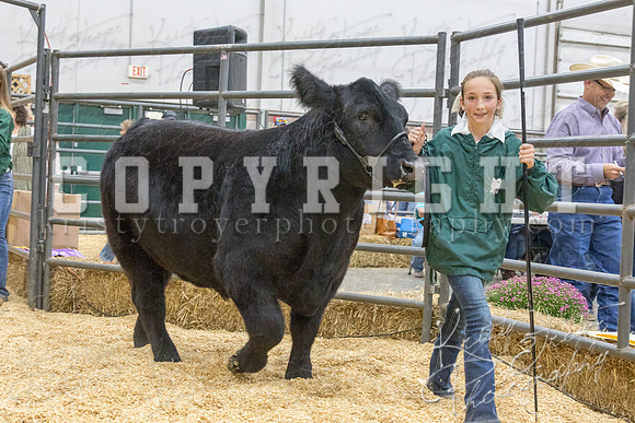 2017_rogers_county_fair-9744