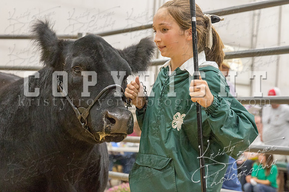 2017_rogers_county_fair-9745