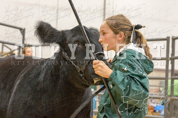 2017_rogers_county_fair-9747