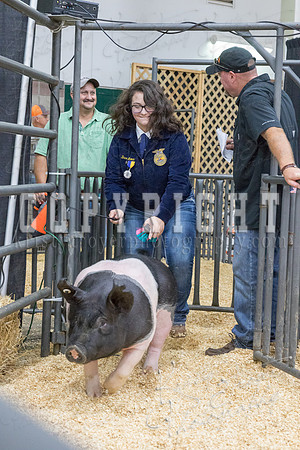 2017_rogers_county_fair-9748